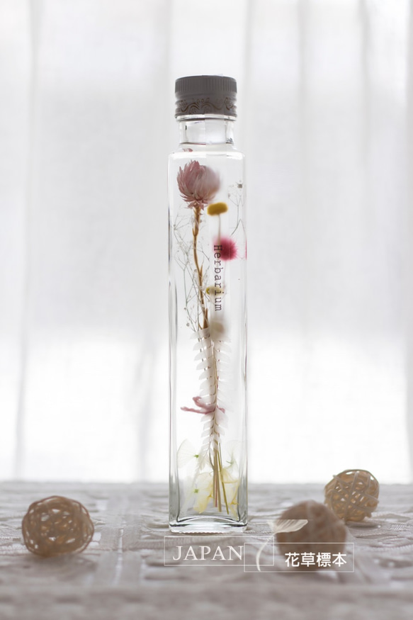 【花草標本】甜蜜輕粉/台灣玻璃瓶(200ml) 療癒系浮游花 日本最新流行 第2張的照片