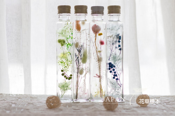 【花草標本】少女嫩粉/台灣玻璃瓶(200ml) 療癒系浮游花 日本最新流行 第3張的照片