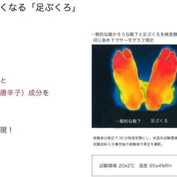 MADE IN JAPAN手袋産地　香川県産【足ぶくろ】あったか靴下　SNSO-067　GRAY　男女兼用フリーサイズ 6枚目の画像