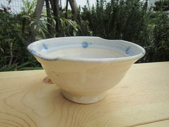 どんぶり鉢　middle bowl    W199 H62 mm 3枚目の画像
