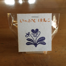  第4張的照片