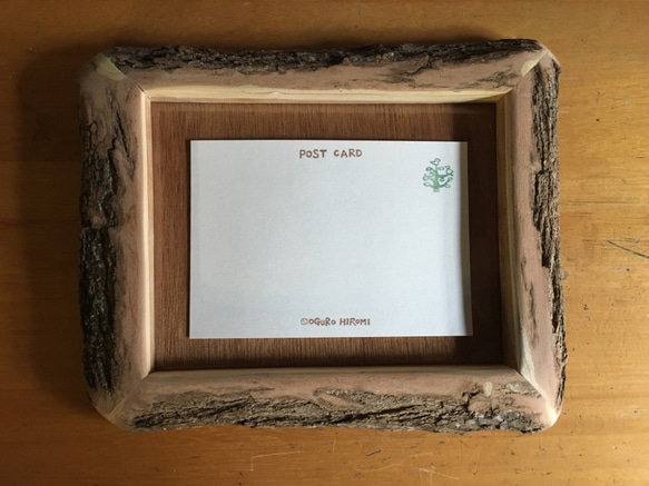木の枝額縁（中の作品は別売） イチョウの樹皮付額（一部面取り