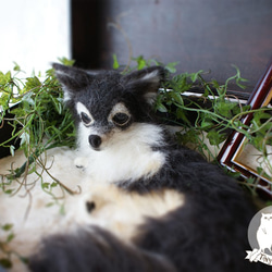 羊毛フェルトの犬（伏せポーズ閉じ口）全長25cm一部ペットの毛使用可 1枚目の画像
