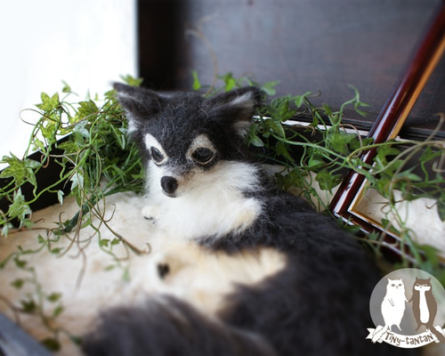 ⭐️あんオーダー⭐️ 羊毛フェルト犬・おすわり、伏せポーズミックス犬ちゃん ⭐️あん様専用オーダー⭐️ 羊毛フェルト犬・おすわり、伏せ