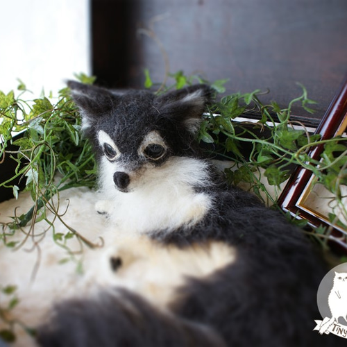 羊毛フェルト　ミックス犬 羊毛フェルトミックス犬