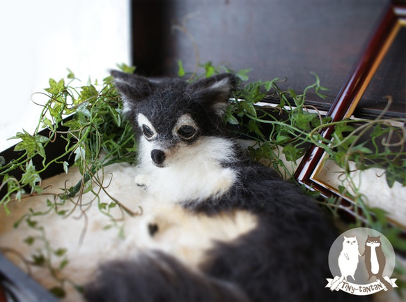 ⭐️あん様専用オーダー⭐️ 騒がしかっ 羊毛フェルト犬
