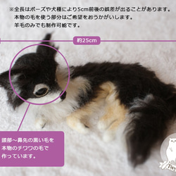 羊毛フェルトの犬（伏せポーズ閉じ口）全長25cm一部ペットの毛使用可 5枚目の画像
