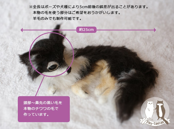 羊毛フェルトの犬（伏せポーズ閉じ口）全長25cm一部ペットの毛使用可 5枚目の画像
