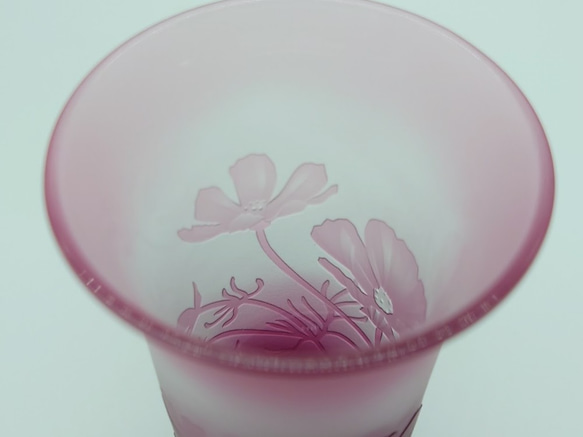 「コスモス(秋桜)」　 サンドブラスト ピンク ひとくちビール 5枚目の画像