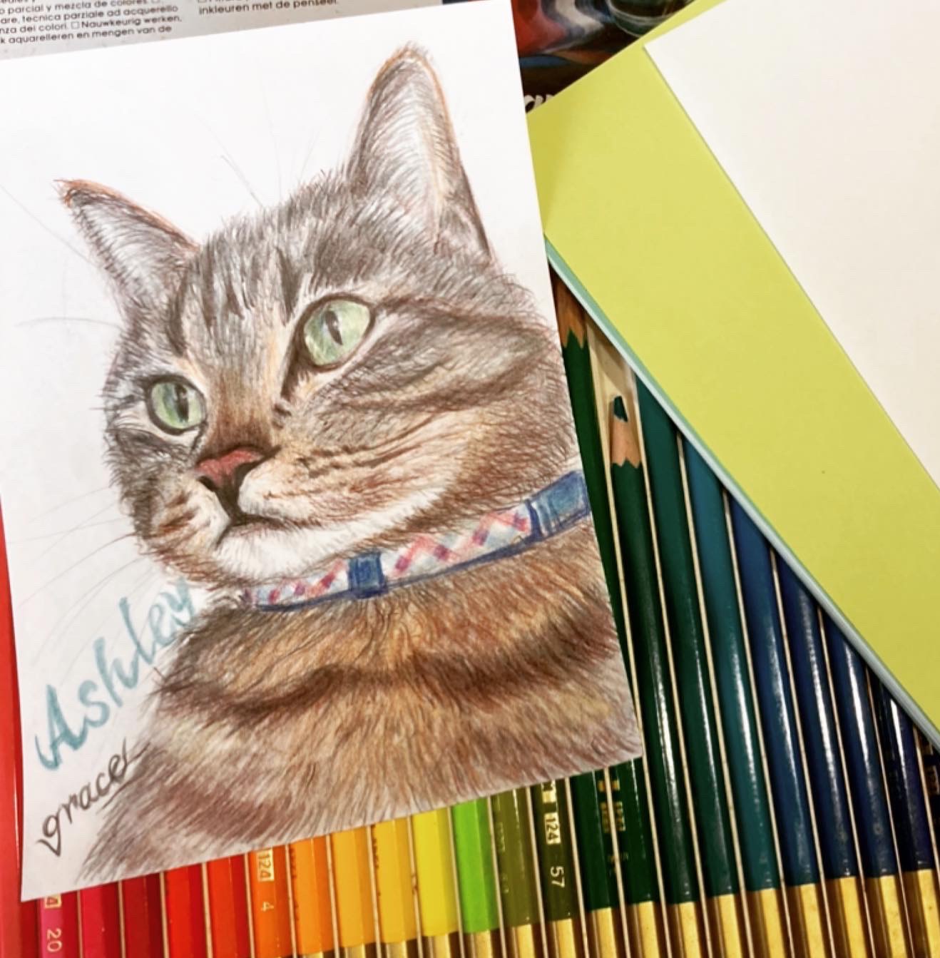 猫ちゃん　色鉛筆画　サンプル　手書き　ハンドメイド　一点物　オリジナル作品　愛猫 色鉛筆画】色鉛筆で猫ちゃんを描いてみました。#色鉛筆 #ねこ