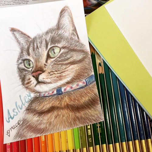 愛猫の色鉛筆による模写画.B6サイズ 絵画 grace_clayart 通販