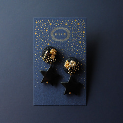 &lt;titi ~Nandemonai Hino Earrings~&gt; 刺繡耳環“Starry Night”/防過敏多變 第1張的照片