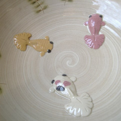 再販・金魚鉢（ボウル大）金魚３匹 3枚目の画像
