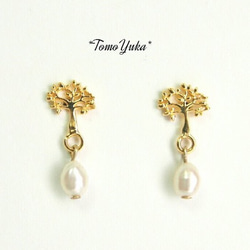 【*TY*】Gold tree and Fresh pearl pierces 1枚目の画像