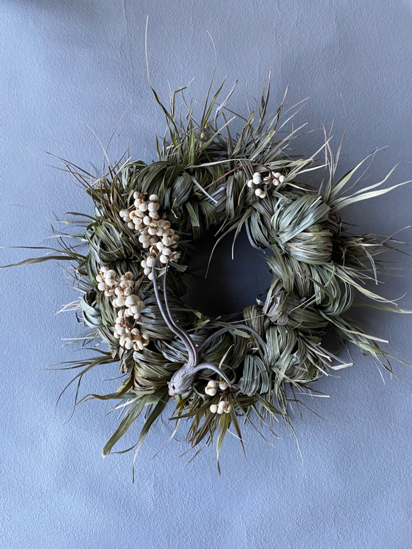 ヤシ リース ハワイアン ドライフラワー ms.blooming.flower 通販