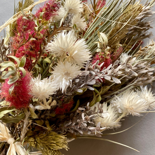 気まぐれスワッグ ブラシの木 ドライフラワー ms.blooming.flower 通販