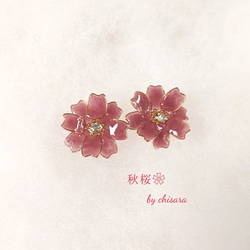 ❀秋桜2021❀ノンホールピアス 6枚目の画像