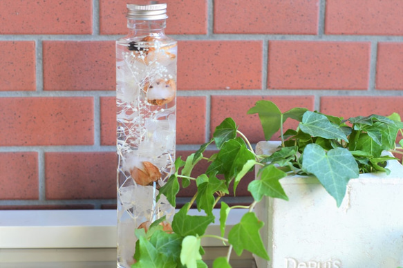 ミニコットンのホワイトハーバリウム（ロングボトル） ハー