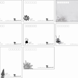 メーカー3rdfloor | owo-はがきは、アーティストグループ（花）8のグループをポストカード 4枚目の画像