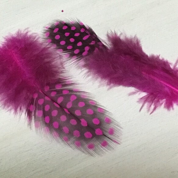 ホロホロ鳥 羽 ピンク 10枚セット 10cm 2枚目の画像