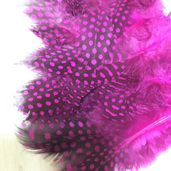 ホロホロ鳥 羽 ピンク 10枚セット 10cm 3枚目の画像