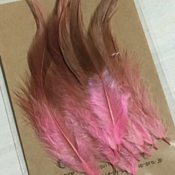 羽 フェザー ピンク 10枚セット 10〜15cm 3枚目の画像