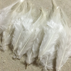 羽 フェザー ホワイト 10枚セット 5〜10cm 金具付き 2枚目の画像
