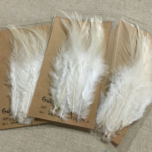 羽 フェザー ホワイト 10枚セット 5〜10cm 金具付き その他素材 ギルド