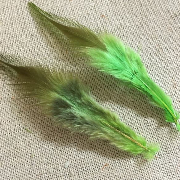 羽 アップルグリーン 10枚セット 5〜10cm 金具付き 3枚目の画像