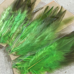 羽 アップルグリーン 10枚セット 5〜10cm 金具付き 4枚目の画像