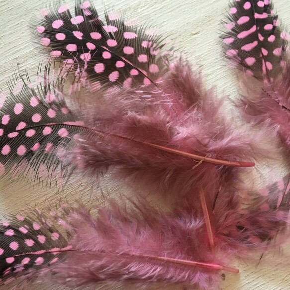 ホロホロ鳥 羽 ライトピンク 10枚セット 5-10cm 金具付き 1枚目の画像