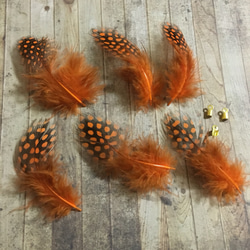 ホロホロ鳥 羽 オレンジ 10枚セット 3-5cm 金具付き 3枚目の画像
