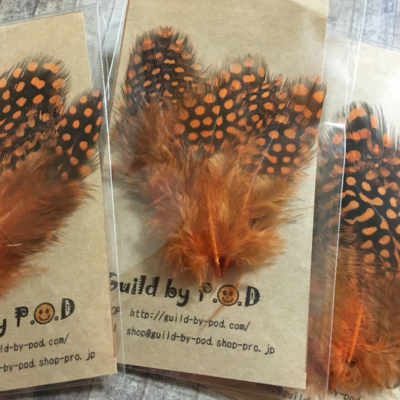 ホロホロ鳥 羽 オレンジ 10枚セット 3-5cm 金具付き 5枚目の画像