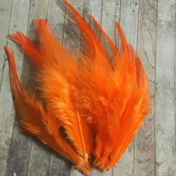 リアルフェザー 羽 ピュアオレンジ 10枚セット 5-10cm 金具付き 3枚目の画像