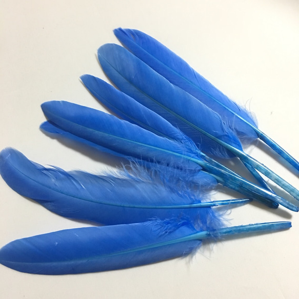リアルフェザー Goose 羽 ブルー 10枚セット 10-15cm 1枚目の画像