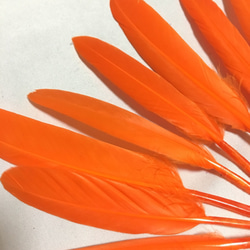 リアルフェザー Goose 羽 オレンジ 10枚セット 10-15cm 1枚目の画像