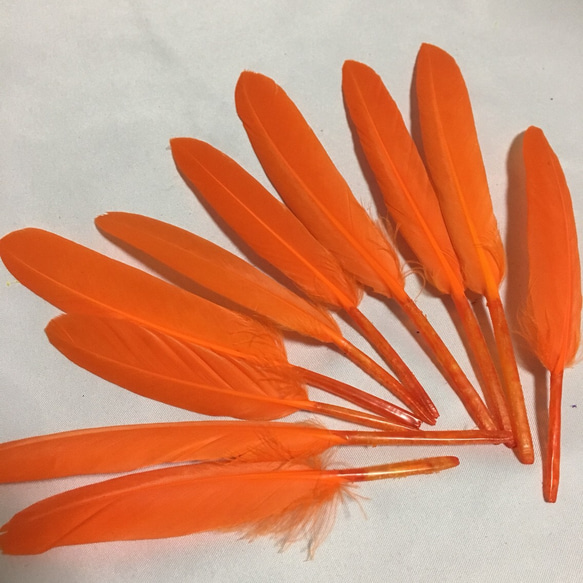 リアルフェザー Goose 羽 オレンジ 10枚セット 10-15cm 2枚目の画像