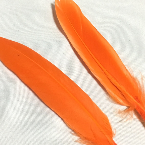 リアルフェザー Goose 羽 オレンジ 10枚セット 10-15cm 3枚目の画像