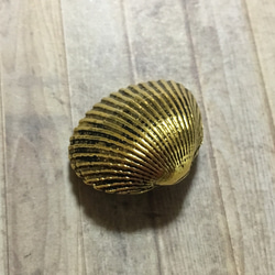 貝殻モチーフ  ボタン ゴールド 28mm 1個 1枚目の画像