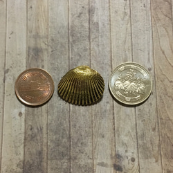 貝殻モチーフ  ボタン ゴールド 28mm 1個 4枚目の画像