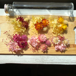 ハーバリウム  花材 アロマワックスバー    サマーアソート2 4枚目の画像