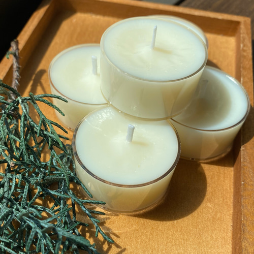 針葉樹(BalsamFir)の香り ソイキャンドル ティーライト5個セット