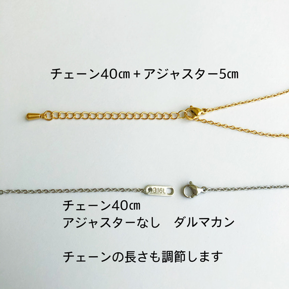 金属アレルギー対応　お守りコインネックレス　聖ベネディクト　メダイネックレス 6枚目の画像