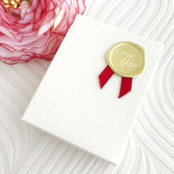 金属アレルギー対応　お守りコインネックレス　聖ベネディクト　メダイネックレス 7枚目の画像