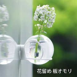 壁に飾る一輪挿し　Glass ball　30mm【ピン】 7枚目の画像