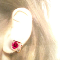 方形穿孔和耳環（令人震驚的粉紅色花朵） 第3張的照片