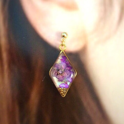壓花和貝殼紫色鑽石耳環和耳環 第1張的照片