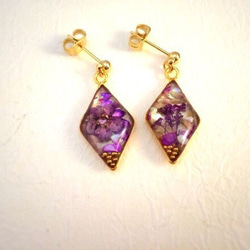 壓花和貝殼紫色鑽石耳環和耳環 第2張的照片