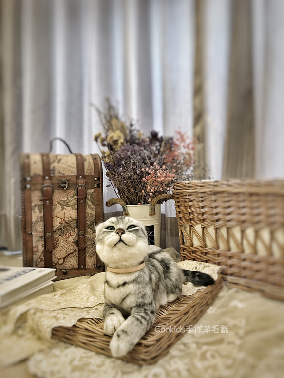Cookids手作りウールフェルト現実的な全身植栽ウールモデル現実的なペットウールフェルトアメリカンショートヘア猫 1枚目の画像