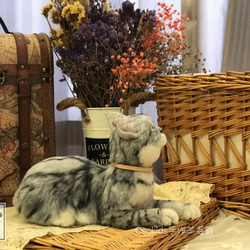 Cookids手作りウールフェルト現実的な全身植栽ウールモデル現実的なペットウールフェルトアメリカンショートヘア猫 5枚目の画像